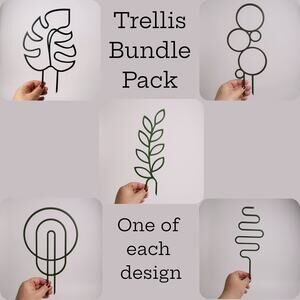 Modern Plant Trellis, Squiggle Shaped Plant Support, Indoor Garden Decor